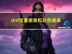 dnf双重徽章和彩色徽章（dnf双重徽章镶嵌位置）