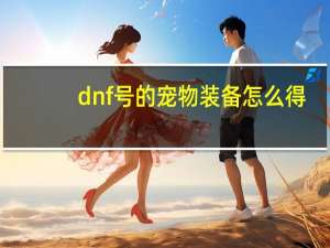 dnf号的宠物装备怎么得