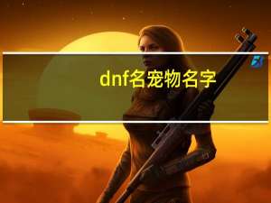 dnf名宠物名字