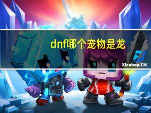 dnf哪个宠物是龙