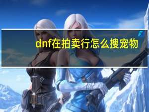 dnf在拍卖行怎么搜宠物