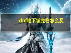 dnf地下城宠物怎么买