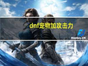 dnf宠物加攻击力