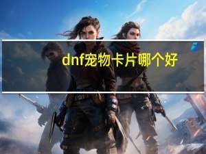 dnf宠物卡片哪个好