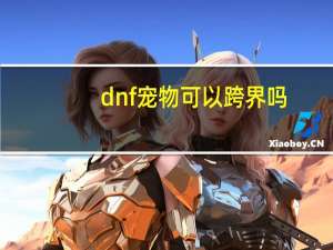 dnf宠物可以跨界吗