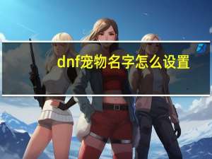 dnf宠物名字怎么设置