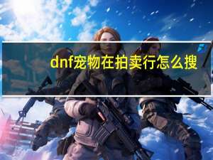 dnf宠物在拍卖行怎么搜