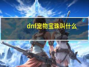 dnf宠物宝珠叫什么