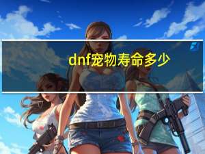 dnf宠物寿命多少