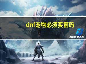 dnf宠物必须买套吗