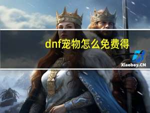 dnf宠物怎么免费得