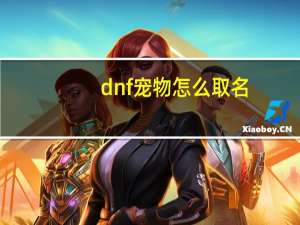 dnf宠物怎么取名