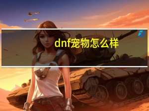 dnf宠物怎么样