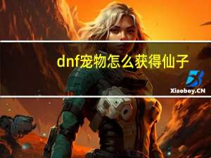 dnf宠物怎么获得仙子
