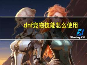 dnf宠物技能怎么使用