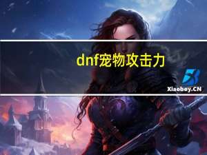 dnf宠物攻击力