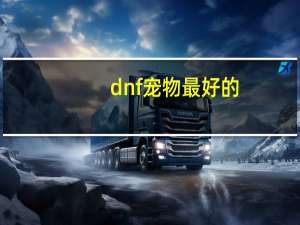 dnf宠物最好的
