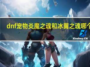 dnf宠物炎魔之魂和冰翼之魂哪个好（dnf宠物炎魔之魂）