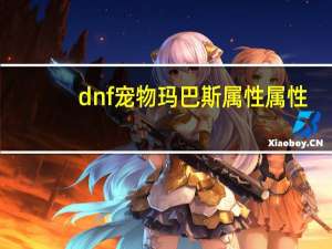 dnf宠物玛巴斯属性属性
