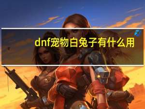 dnf宠物白兔子有什么用（dnf白兔子属性）