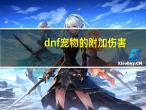 dnf宠物的附加伤害