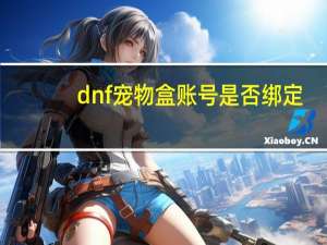 dnf宠物盒账号是否绑定