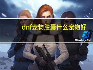 dnf宠物胶囊什么宠物好