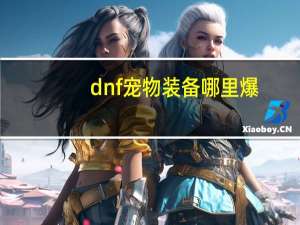 dnf宠物装备哪里爆