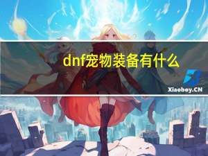 dnf宠物装备有什么
