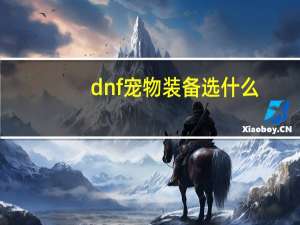 dnf宠物装备选什么