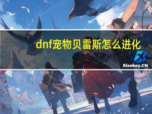 dnf宠物贝雷斯怎么进化（dnf宠物贝雷斯）