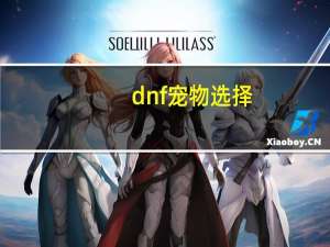 dnf宠物选择