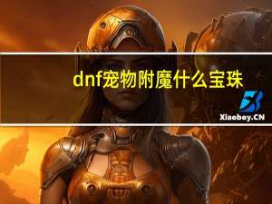 dnf宠物附魔什么宝珠