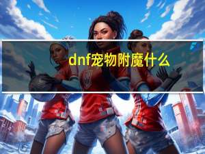 dnf宠物附魔什么