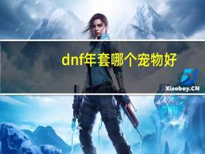 dnf年套哪个宠物好