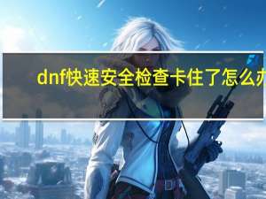 dnf快速安全检查卡住了怎么办（dnf快速安全检查不动）