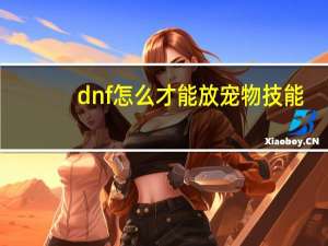 dnf怎么才能放宠物技能