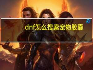 dnf怎么搜索宠物胶囊