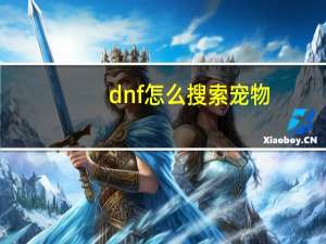 dnf怎么搜索宠物