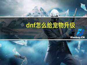 dnf怎么给宠物升级