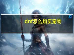 dnf怎么购买宠物