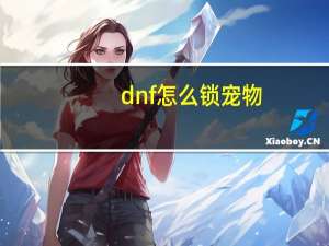 dnf怎么锁宠物