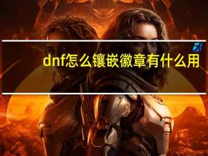 dnf怎么镶嵌徽章有什么用（dnf怎么镶嵌徽章）