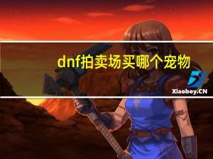 dnf拍卖场买哪个宠物