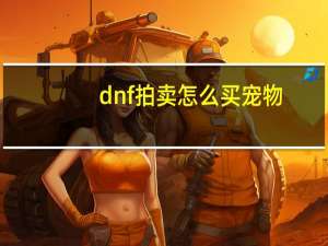 dnf拍卖怎么买宠物
