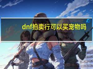 dnf拍卖行可以买宠物吗