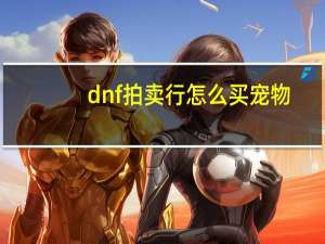 dnf拍卖行怎么买宠物