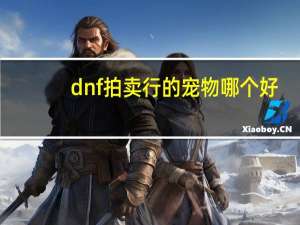 dnf拍卖行的宠物哪个好