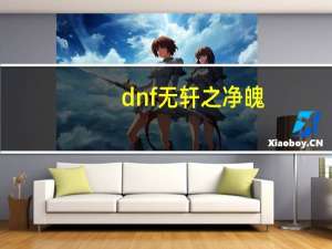 dnf无轩之净魄（无轩之净魄）