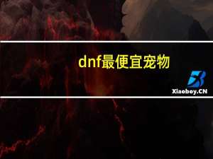 dnf最便宜宠物